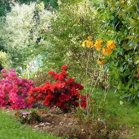 Les Enselmes Bed & Breakfast Montagnieu  Dış mekan fotoğraf