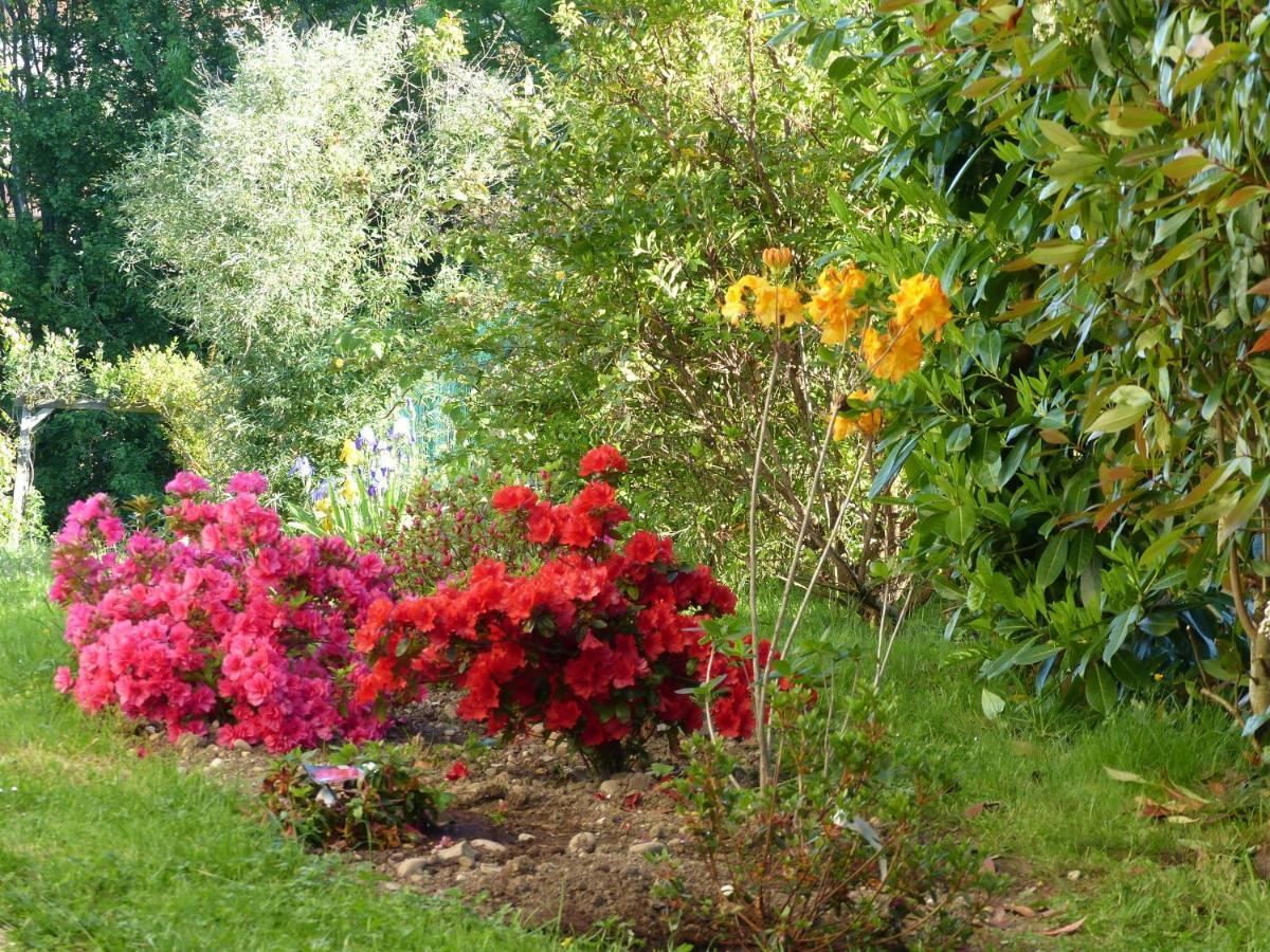 Les Enselmes Bed & Breakfast Montagnieu  Dış mekan fotoğraf