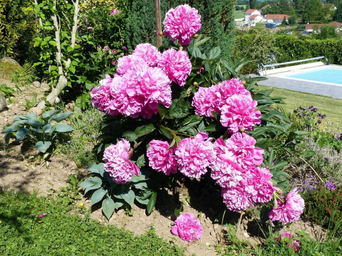 Les Enselmes Bed & Breakfast Montagnieu  Dış mekan fotoğraf